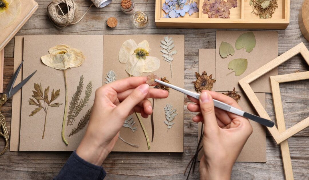 Top DIY Craft Kit Trends in 2026 Every Creative Should Know